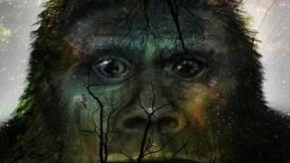 THE SASQUATCH MESSAGE TO HUMANITY [upl. by Rayle]