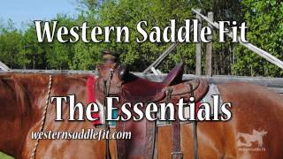 Western Saddle Fit  the Essentials [upl. by Pepper]