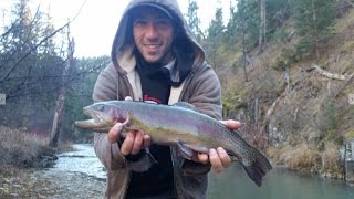 Black Hills South Dakota Trout Fishing [upl. by Evslin]