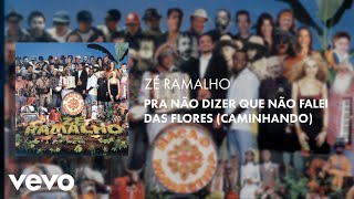 Zé Ramalho  Pra Não Dizer Que Não Falei das Flores Caminhando Áudio Oficial [upl. by Nnaecarg]