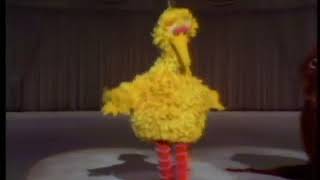 Sesame Street 👀 Big Bird and Snuffy ice skate 👀 [upl. by Htiekal]