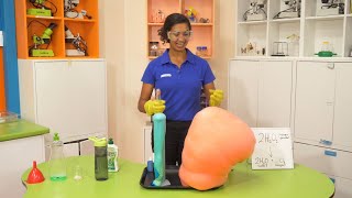 Explosive Elephants Toothpaste Experiment  At Home Science Experiment  Scitech WA [upl. by Apostles]