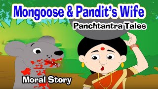 Mongoose vs Snake I Moral Stories In English I Panchtantra Story I Fairy Tales I Bedtime Stories [upl. by Nethsa]