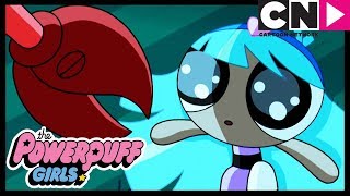 Powerpuff Girls  Bliss Zapped By The Professor  Cartoon Network [upl. by Artimas]