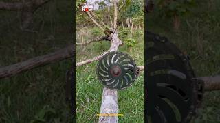 Tree Cutting Brush Cutter Attachment [upl. by Eeleak953]