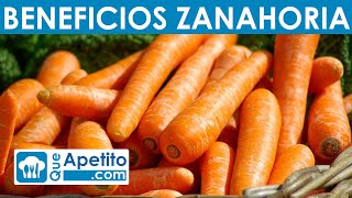 8 Propiedades y Beneficios de la Zanahoria  QueApetito [upl. by Ahsok574]