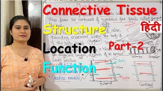 Connective Tissue in Hindi  Part2  Structure  Locations  Types  Functions [upl. by Allison]