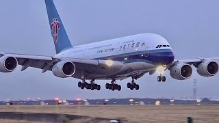 120 planes in 1 hour  Paris CDG Airport Plane Spotting🇫🇷 Close up big airplane Heavy landing [upl. by Nnainot]