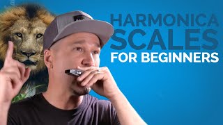 Harmonica Scales For Beginners While Learning to Play Something Cool [upl. by Lyndy570]