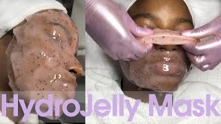 HydroJelly Mask  FULL Application and Removal [upl. by Nomolos]