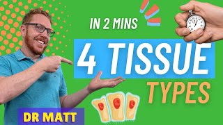 The 4 Tissue Types  In 2 Mins [upl. by Levram942]