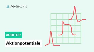 Aktionspotentiale  AMBOSS Auditor [upl. by Ocko]