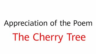 The Cherry Tree Poem Appreciation For Exam [upl. by Reseta]