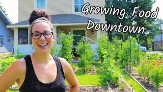 Urban Homesteading  Grow an Abundance of Food on 15th Acre [upl. by Byrn]