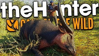 The Hunter Call Of The Wild  MASSIVE WATER BUFFALO DLC MAP [upl. by Royce]