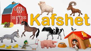 Kafshet shtepiake  3D Animation [upl. by Felicidad]