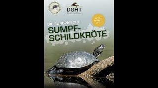 Reptil des Jahres 2015  Die Europäische Sumpfschildkröte DGHT [upl. by Morra]