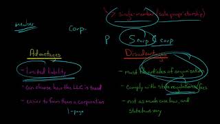 LLCs  Advantages and Disadvantages [upl. by Ohl]