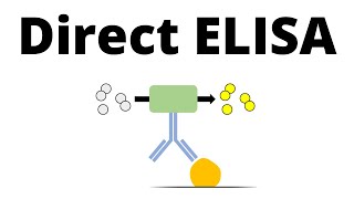 Direct ELISA in 1 minute [upl. by Tjader950]