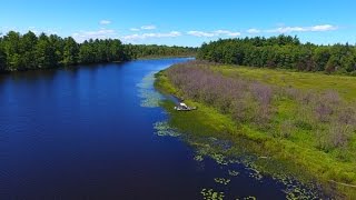 Lower Tahquamenon River Michigan [upl. by Uriel929]