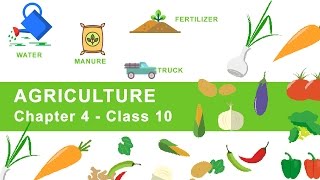 Agriculture  Chapter 4 Geography NCERT Class 10 [upl. by Keli493]