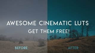 FREE LUTs  Best Cinematic LUTs free  10 Pack  Download [upl. by Nivlek]