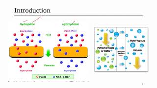 Lecture 20 Pervaporation Membrane Separation Technique [upl. by Elleira]