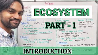 Ecosystem  Part 1  Introduction [upl. by Lehcim]