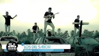 Los Del Sabor  Sensual Video Oficial [upl. by Iy534]