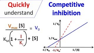 Competitive inhibition [upl. by Nicky]