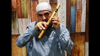 How to Play the Native American Flute in under 10 minutes EASY Lesson 1 [upl. by Initsed699]