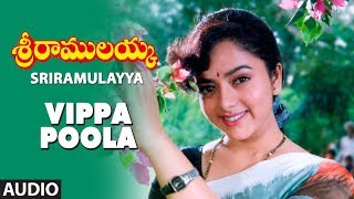 Vippa Poola Full Audio Song  Sri Ramulayya Movie Songs  Mohan Babu Harikrish Soundarya [upl. by Airednaxela509]