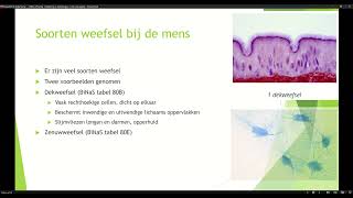 VWO 4 Thema 1 Basisstof 2 Organen weefsels cellen deel 1 [upl. by Uaerraj382]