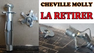 retirer une cheville molly proprement how to remove hollow wall anchors properly [upl. by Delora]