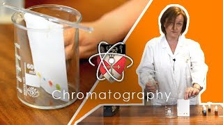 Chromatography  GCSE Science Required Practical [upl. by Bird]