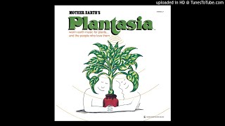 Mort Garson  Mother Earths Plantasia  01 Plantasia [upl. by Asirac]