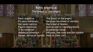 Panis Angelicus  Hymn Lambillotte [upl. by Inimod]