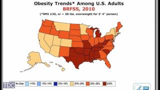 Americas Growing Obesity Epidemic [upl. by Notsruht268]