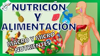 CONCEPTOS BÁSICOS DE NUTRICIÓN Y ALIMENTACIÓN  GuiaMed [upl. by Kamila639]