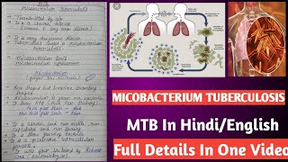 Micobacterium tuberculosis  Mycobacterium tuberculi microbiology [upl. by Esilana330]