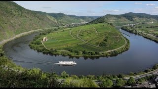 Mosel Wine harvest in Germany German Riesling in Moselle Valley Weinlese Deutschland Tourismus [upl. by Tracie]