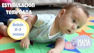 Estimulación para bebés de 0 3 meses [upl. by Hock]