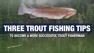 3 Advanced Trout Fishing Tips and Tricks  Become A Better Trout Fisherman [upl. by Aicilaana]