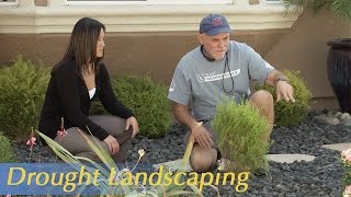 Growing California video series Drought Landscaping [upl. by Marou132]