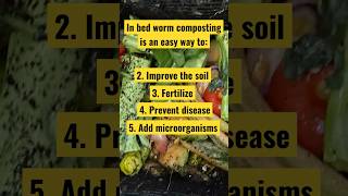 In Bed WORM COMPOSTING REFRESH [upl. by Nawoj]