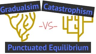 Process of Evolution  Gradualism vs Punctuated Equilibrium vs Catastrophism [upl. by Grote]