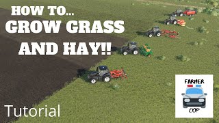 How to Grow Grass and Hay in Farming Simulator 19 [upl. by Anatolio]