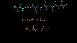 Drawing Peptides [upl. by Flori]