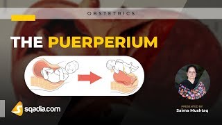 The Puerperium  Obstetrics Lectures 2019  sqadiacom  Medical Clinical Education [upl. by Nwahsirhc258]