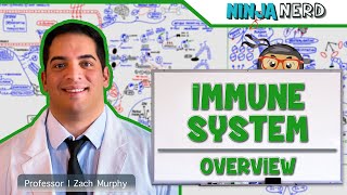 Immunology  Immune System Overview [upl. by Sung291]